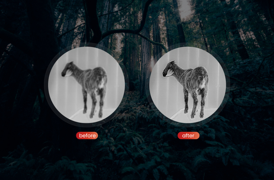 Short-Range vs. Long-Range Thermal Scopes: Which Is Right for Hunting